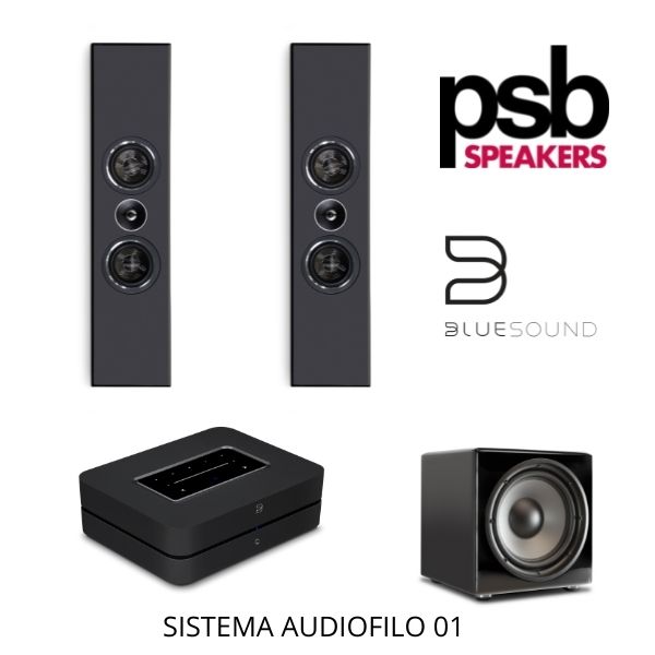 Audiofilo Store sistema 01