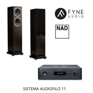 SISTEMA AUDIOFILO 11