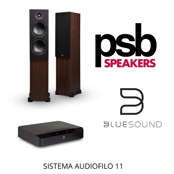 SISTEMA AUDIOFILO 11 - Audiofilo Store