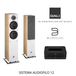 SISTEMA AUDIOFILO 12 - Audiofilo Store