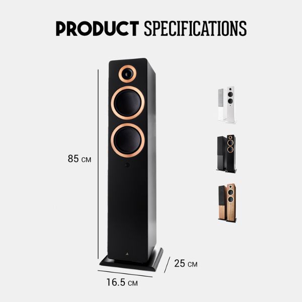 Argon Audio Forte A55 WIFI Black Audiofilo Store